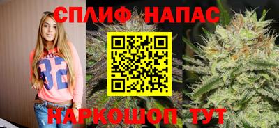 бошки Сланцы