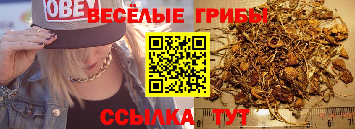 Галлюциногенные грибы Psilocybe  Вход с VPN  Новозыбков  Галлюциногенные грибы ЛСД 